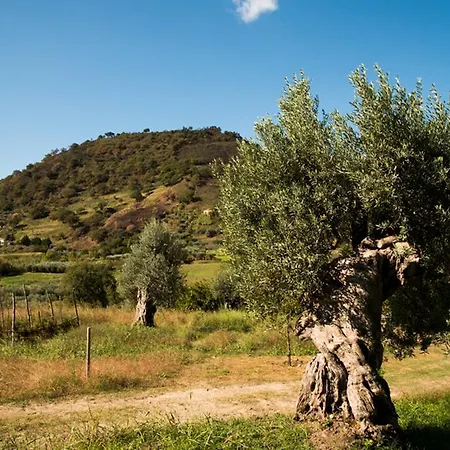 U' Casinu Da Scala Campora San Giovanni