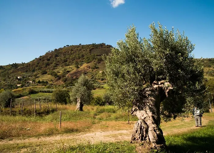 U' Casinu Da Scala Campora San Giovanni